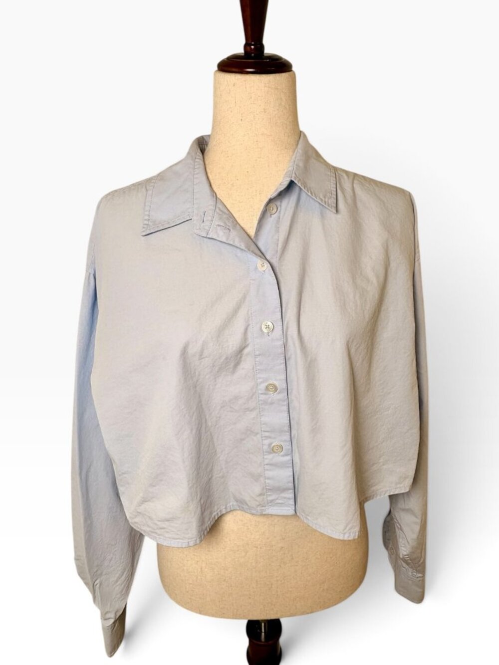 Aritzia Sun-deh Sunday Best Light Blue Cropped Button Up Shirt Medium